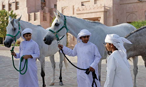 اسب های عربی و شتر سواری